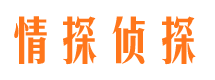 阜平市调查公司